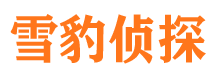 桂阳找人公司